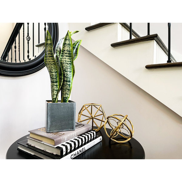 Primrue 20'' Faux Snake Plant (Sansevieria) Plant Wayfair